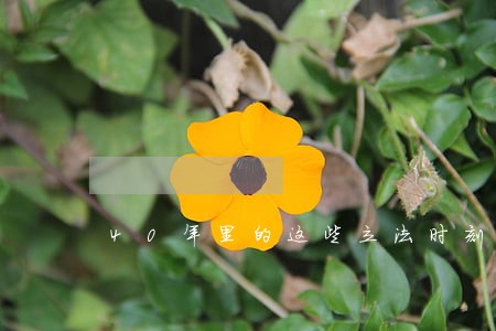 40年里的这些立法时刻