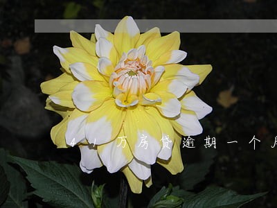 41万房贷逾期一个月罚息是多少 41万房贷逾期一个月罚息是多少