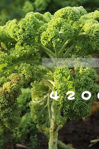 4200微粒贷逾期3个月了
