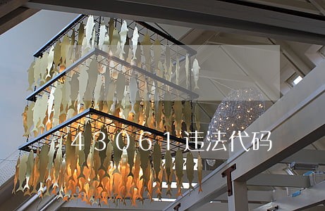 43061违法代码