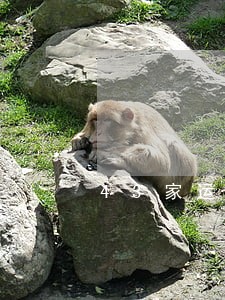 43家运输企业超员违法