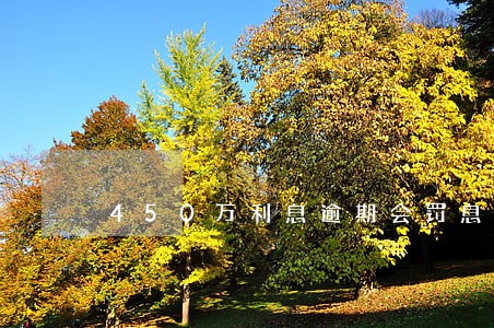 450万利息逾期会罚息多少 450万利息逾期会罚息多少