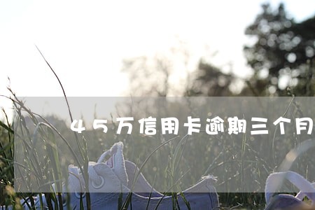 45万信用卡逾期三个月 45万信用卡逾期三个月