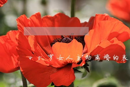 45岁女人主动离婚的表现 45岁女人主动离婚的表现