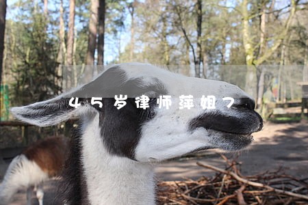 45岁律师萍姐7 45岁律师萍姐7
