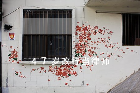 47岁改行当律师 47岁改行当律师