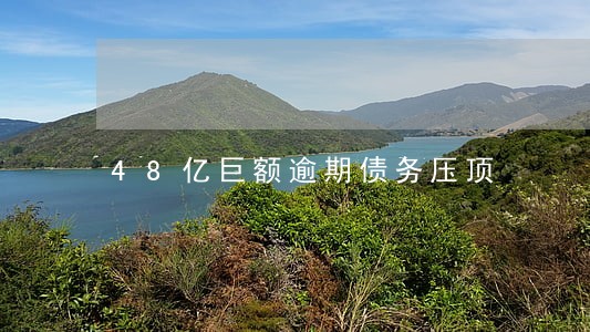 48亿巨额逾期债务压顶 48亿巨额逾期债务压顶