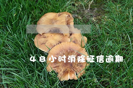 48小时消除征信逾期 48小时消除征信逾期