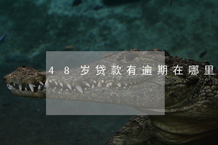 48岁贷款有逾期在哪里贷 48岁贷款有逾期在哪里贷