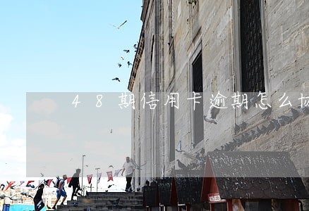 48期信用卡逾期怎么协商 48期信用卡逾期怎么协商