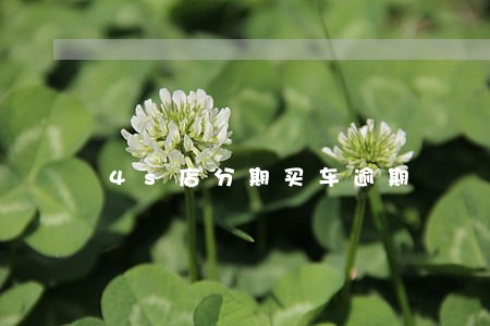 4s店分期买车逾期 4s店分期买车逾期