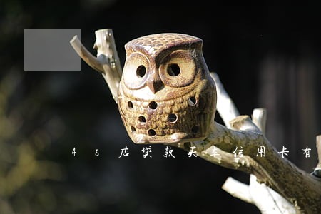 4s店贷款买车信用卡有逾期 4s店贷款买车信用卡有逾期