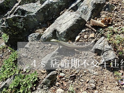 4s店逾期不交车违约 4s店逾期不交车违约