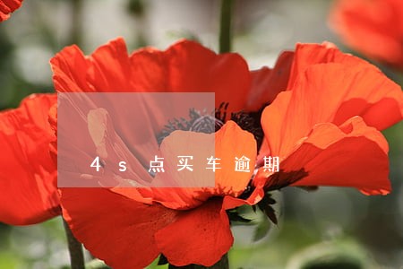 4s点买车逾期 4s点买车逾期