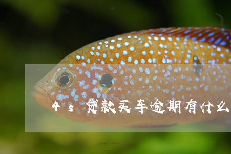 4s贷款买车逾期有什么后果 4s贷款买车逾期有什么后果