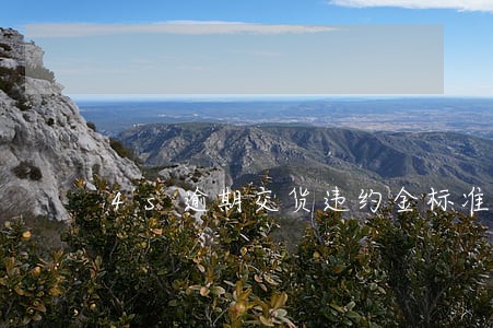 4s逾期交货违约金标准 4s逾期交货违约金标准