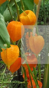 4w5信用卡逾期费多少