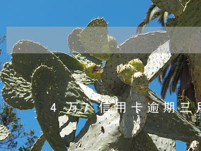 4万7信用卡逾期三月被销户 4万7信用卡逾期三月被销户