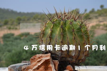 4万信用卡逾期1个月利息多少