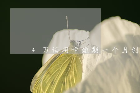 4万信用卡逾期一个月利息多少 4万信用卡逾期一个月利息多少