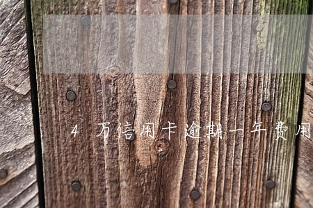 4万信用卡逾期一年费用多少 4万信用卡逾期一年费用多少