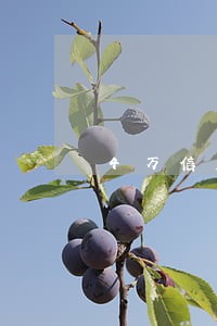 4万信用卡逾期会起诉吗