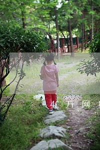 4万网贷逾期一年 4万网贷逾期一年