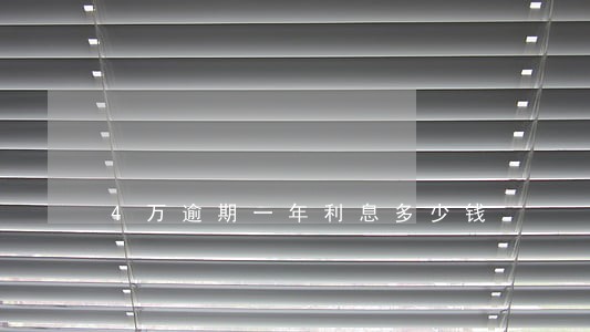 4万逾期一年利息多少钱 4万逾期一年利息多少钱