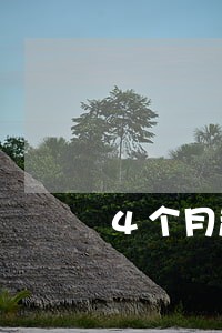 4个月超过90天逾期