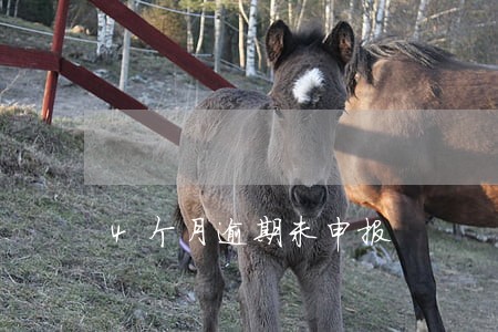 4个月逾期未申报 4个月逾期未申报