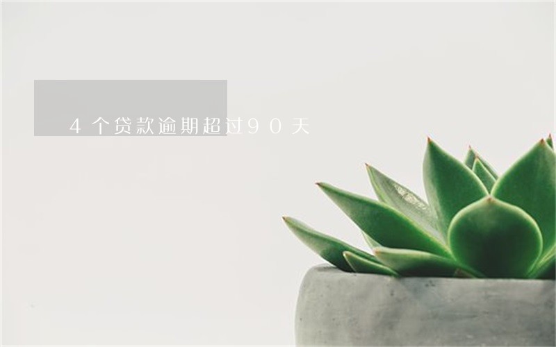 4个贷款逾期超过90天 4个贷款逾期超过90天