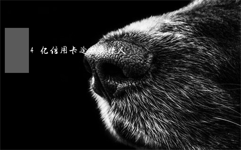 4亿信用卡逾期负债人 4亿信用卡逾期负债人