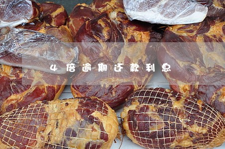 4倍逾期还款利息 4倍逾期还款利息