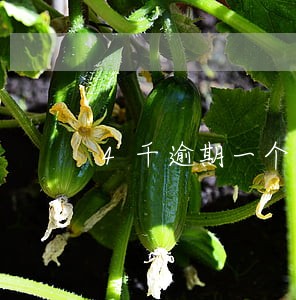 4千逾期一个月利息要多少 4千逾期一个月利息要多少