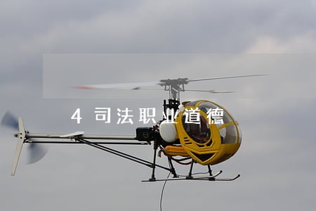 4司法职业道德 4司法职业道德