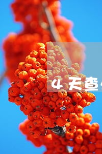 4天查处违法3408例 4天查处违法3408例