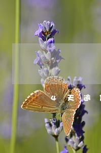 4天逾期费用120块 4天逾期费用120块