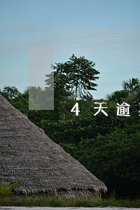 4天逾期费用200块合理吗 4天逾期费用200块合理吗