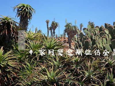 4家网贷逾期征信全黑