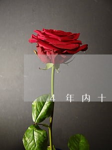 4年内十六次逾期能贷款吗 4年内十六次逾期能贷款吗