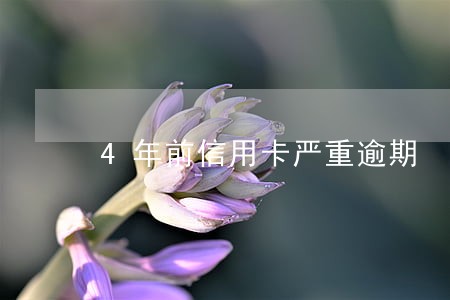 4年前信用卡严重逾期