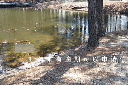 4年前有逾期可以申请信用卡么 4年前有逾期可以申请信用卡么