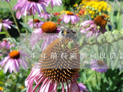 4年前有逾期可以贷款买车吗0 4年前有逾期可以贷款买车吗0