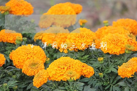 4年前的三次逾期 4年前的三次逾期