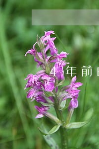 4年前的逾期对房贷有影响吗 4年前的逾期对房贷有影响吗
