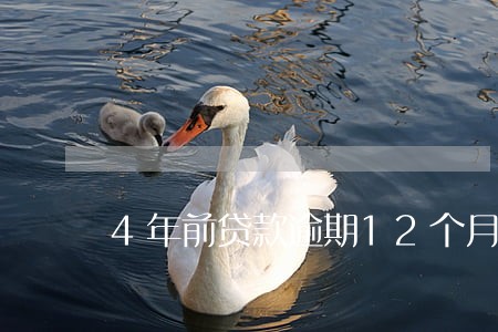 4年前贷款逾期12个月 4年前贷款逾期12个月