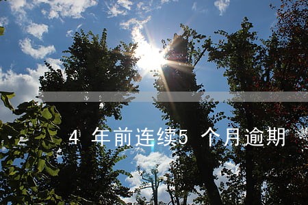 4年前连续5个月逾期 4年前连续5个月逾期