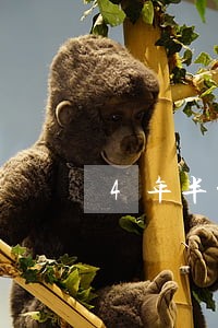 4年半前信用卡有逾期怎么办 4年半前信用卡有逾期怎么办