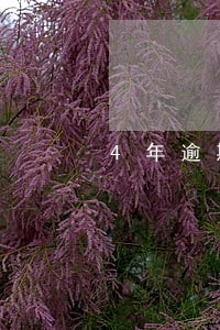 4年逾期6次能买房吗 4年逾期6次能买房吗
