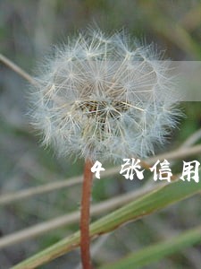 4张信用卡45次逾期